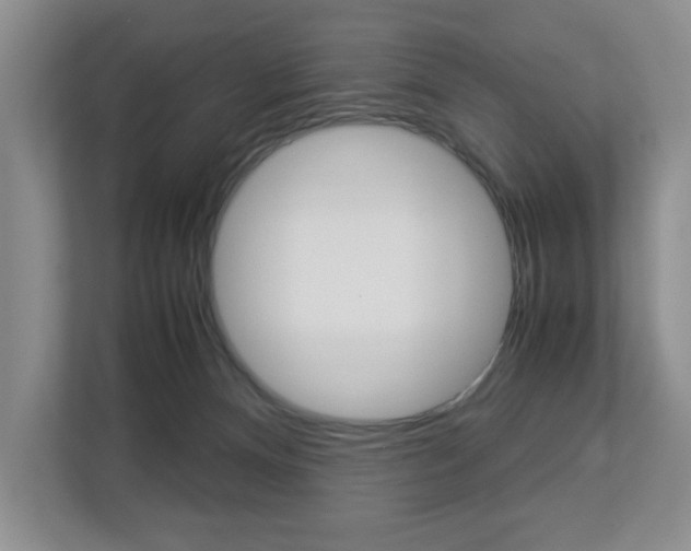 X0000112830128200908210946