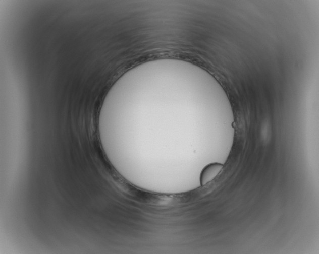 X0000112830130200908210946