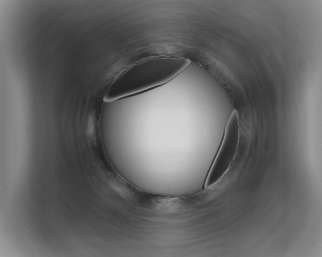 X0000112830132200908210946