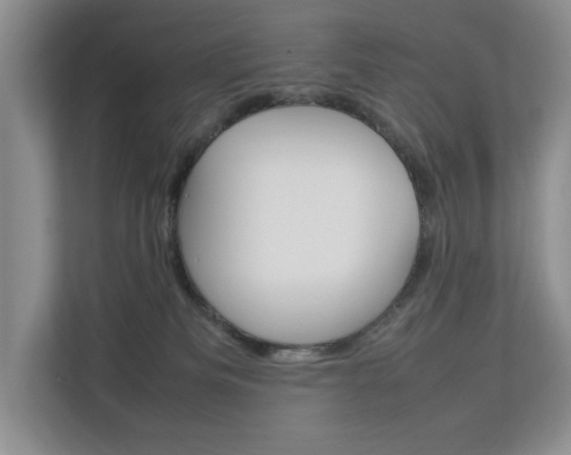X0000112830133200908210946