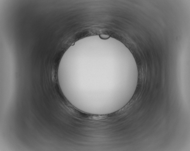 X0000112830134200908210946