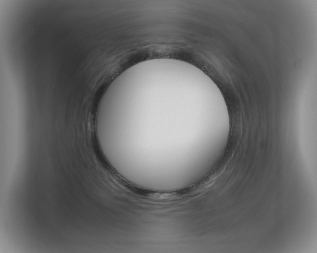 X0000112830135200908210946