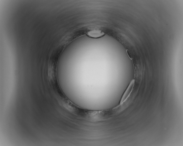 X0000112830136200908210946