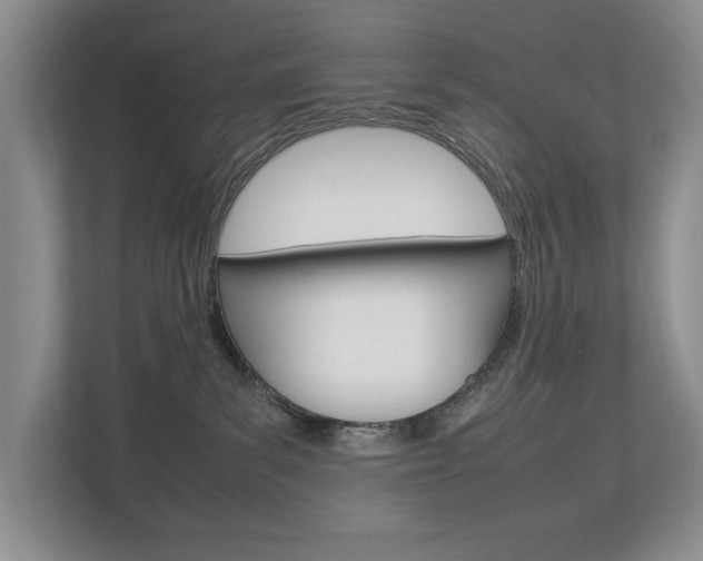X0000112830139200908210946