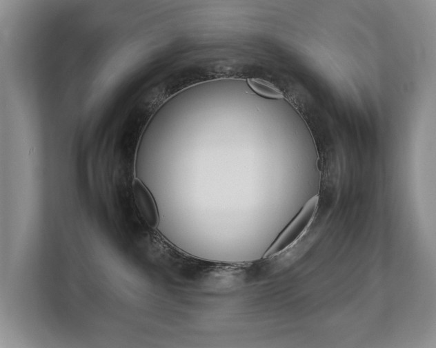 X0000112830140200908210946