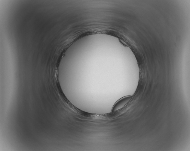 X0000112830141200908210946