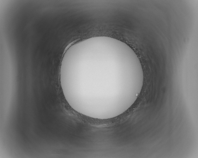 X0000112830144200908210946
