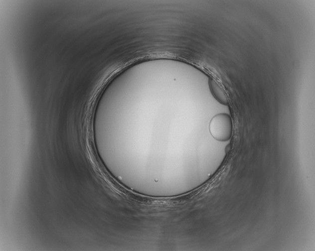 X0000112830145200908210945
