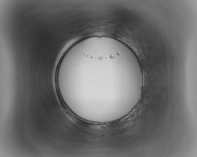 X0000112830147200908210945