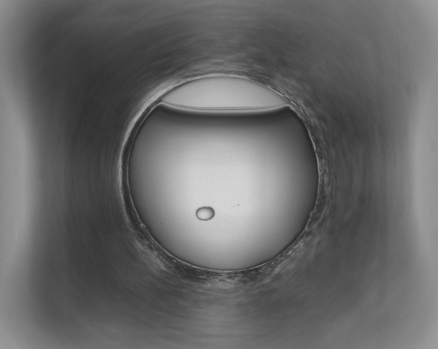 X0000112830148200908210945