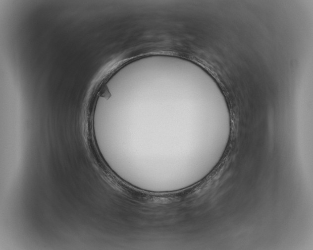 X0000112830149200908210945