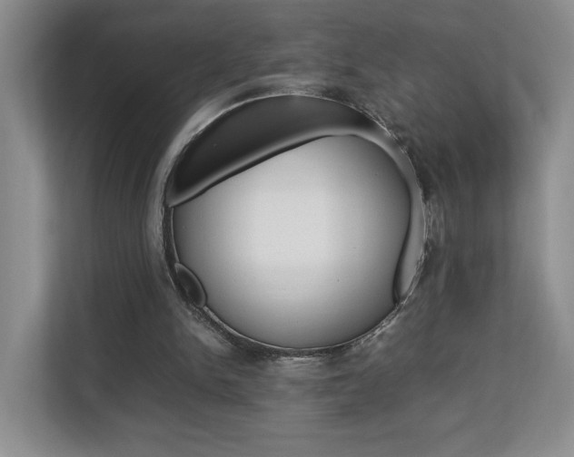X0000112830150200908210945
