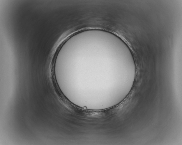 X0000112830151200908210945