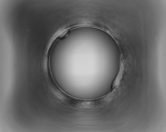 X0000112830152200908210945