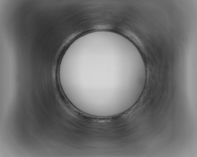 X0000112830155200908210946