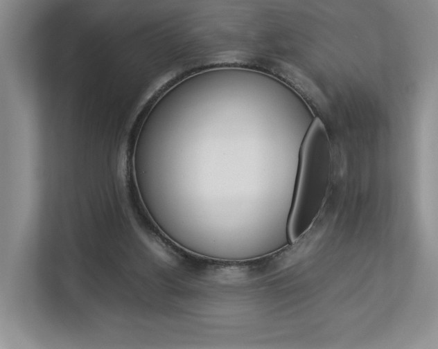 X0000112830156200908210946