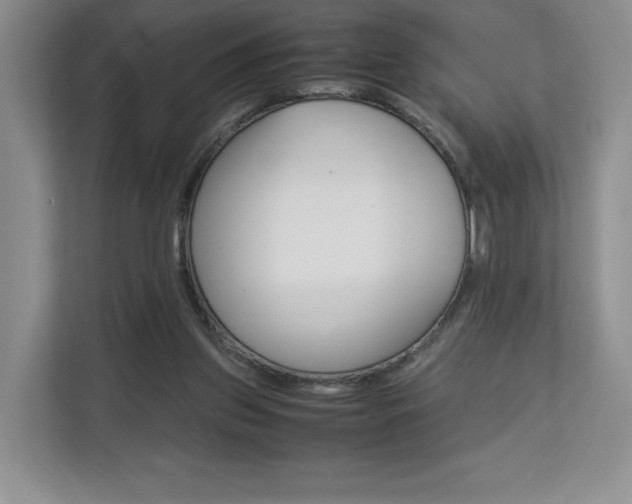 X0000112830157200908210946
