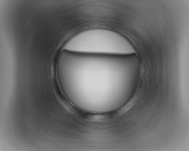 X0000112830158200908210946