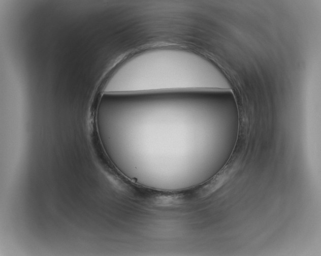 X0000112830160200908210946