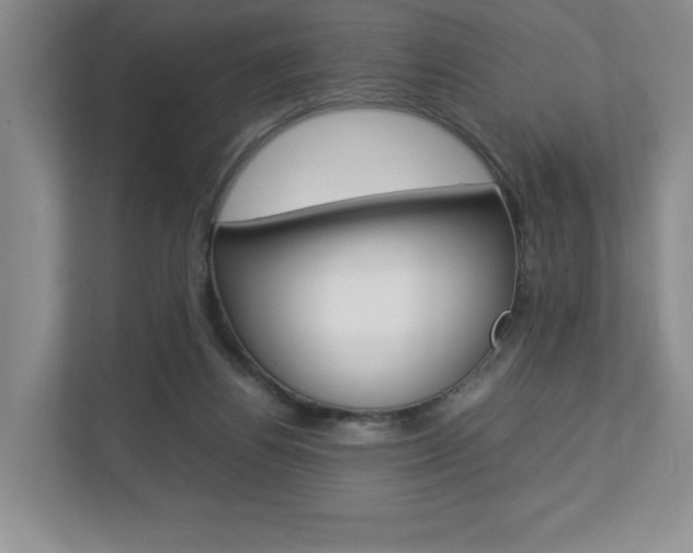 X0000112830164200908210946
