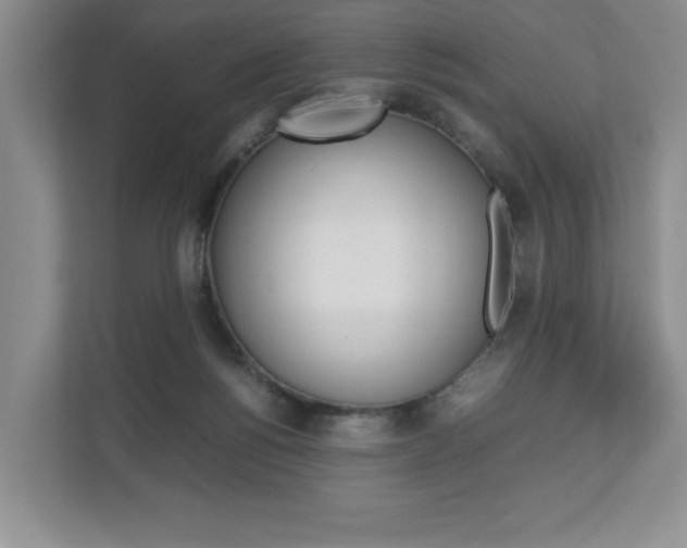 X0000112830168200908210946