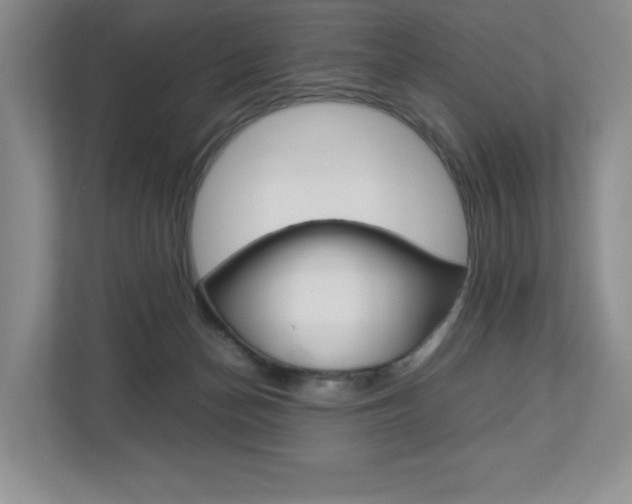 X0000112830174200908210946