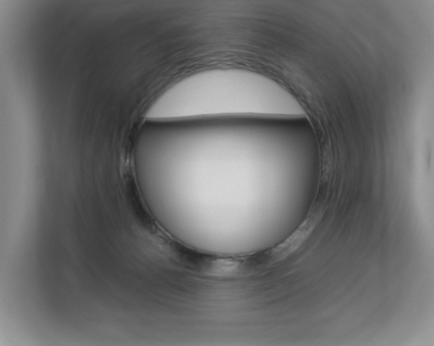 X0000112830176200908210946