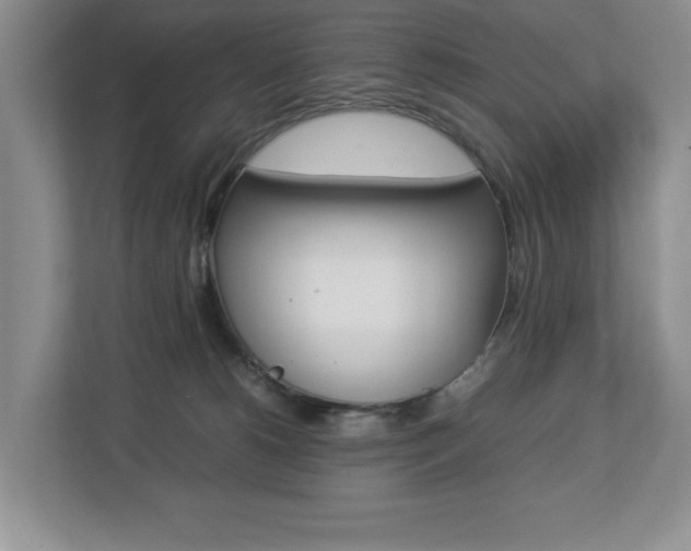 X0000112830180200908210946