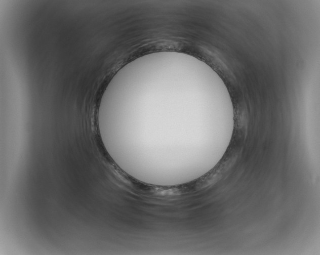 X0000112830185200908210946