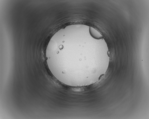 X0000112830187200908210946