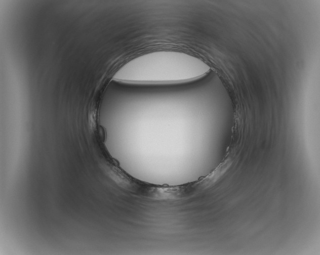 X0000112830188200908210946