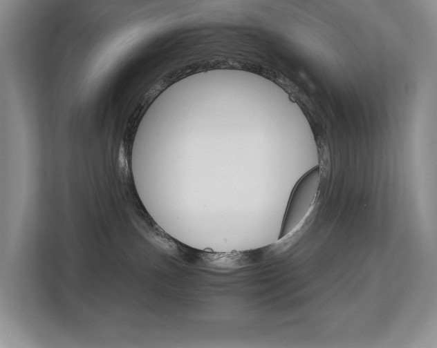 X0000112830191200908210946