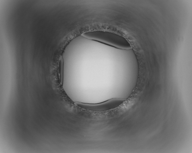 X0000112830192200908210946