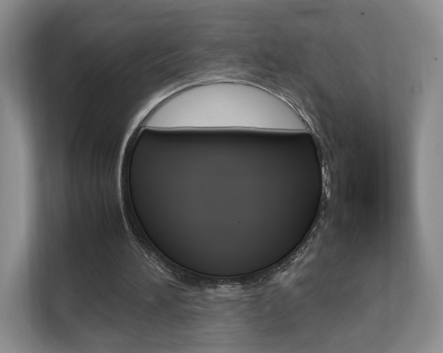 X0000112830196200908210945