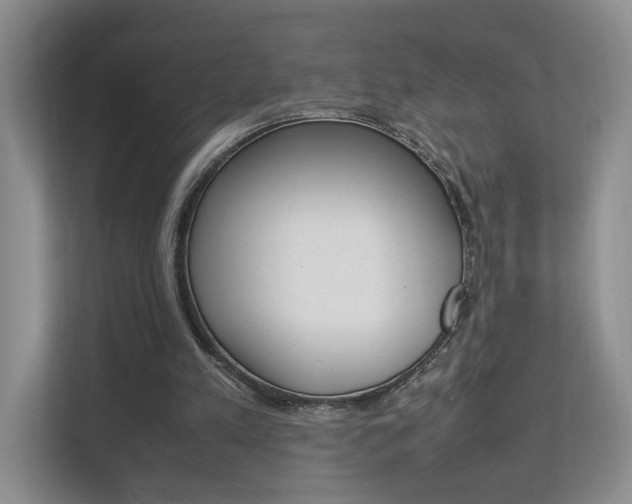 X0000112830197200908210945