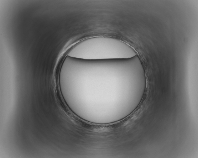 X0000112830198200908210945