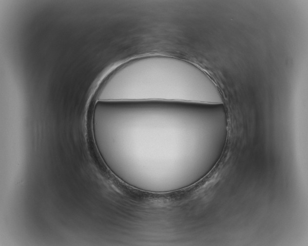 X0000112830200200908210945