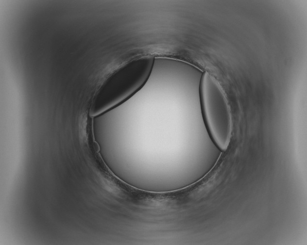 X0000112830201200908210945