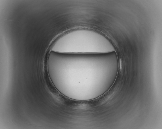 X0000112830204200908210945
