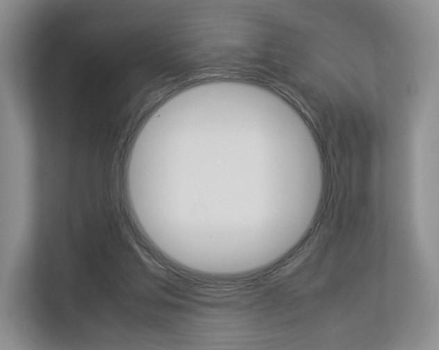 X0000112830205200908210945