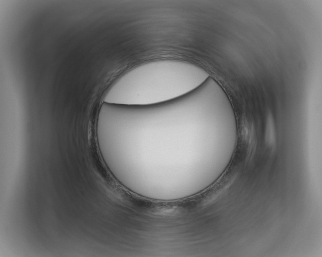 X0000112830206200908210945