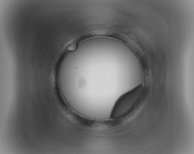 X0000112830207200908210945