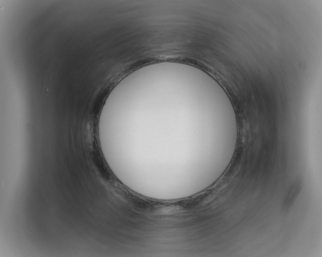 X0000112830210200908210945