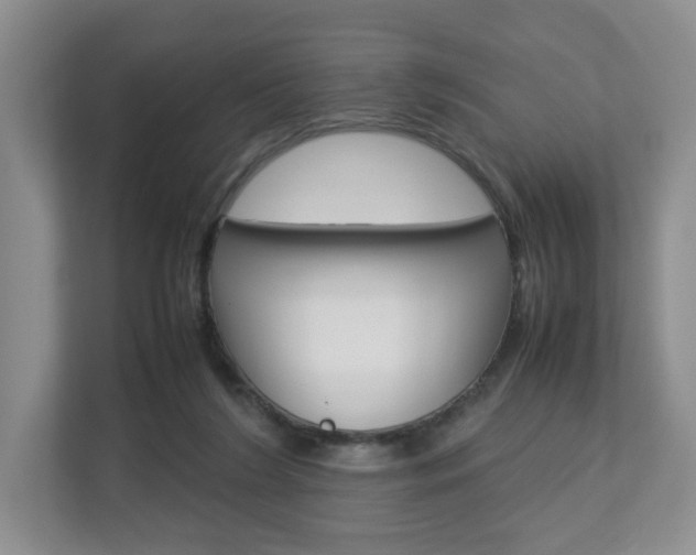 X0000112830212200908210945