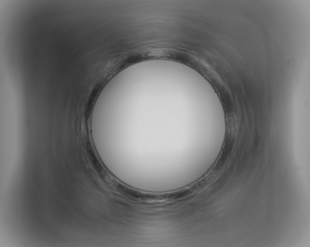 X0000112830213200908210945