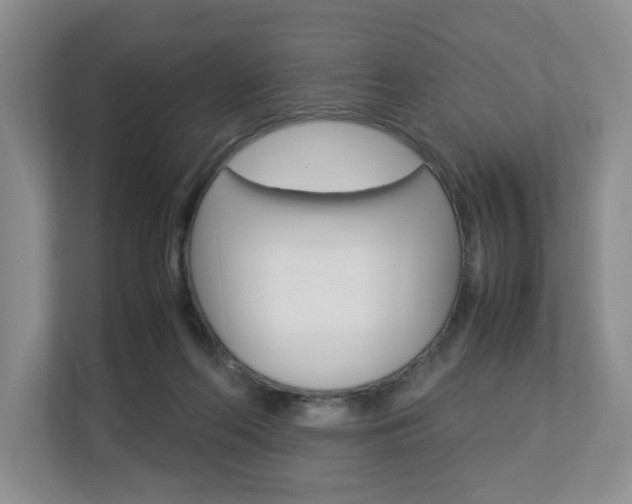 X0000112830214200908210945