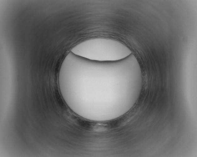 X0000112830222200908210945