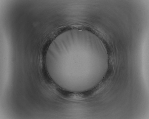 X0000112830223200908210945