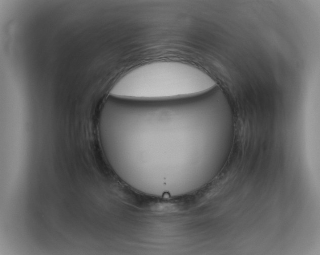 X0000112830224200908210945