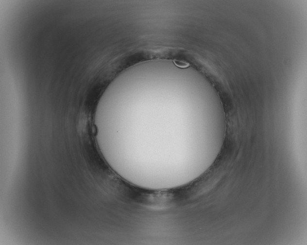 X0000112830225200908210945